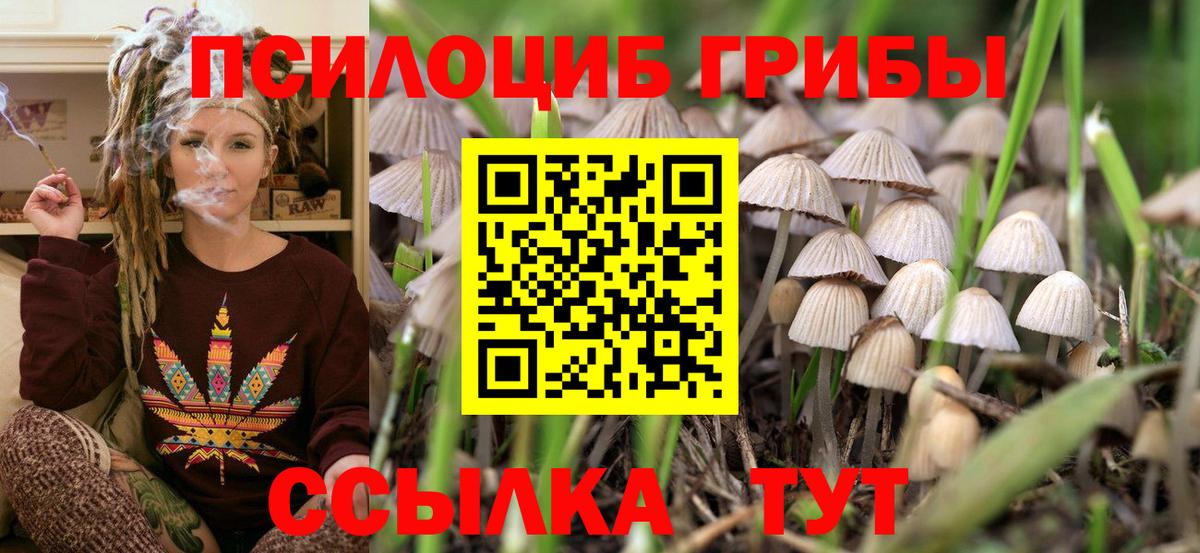 Псилоцибиновые грибы MAGIC MUSHROOMS Сертолово